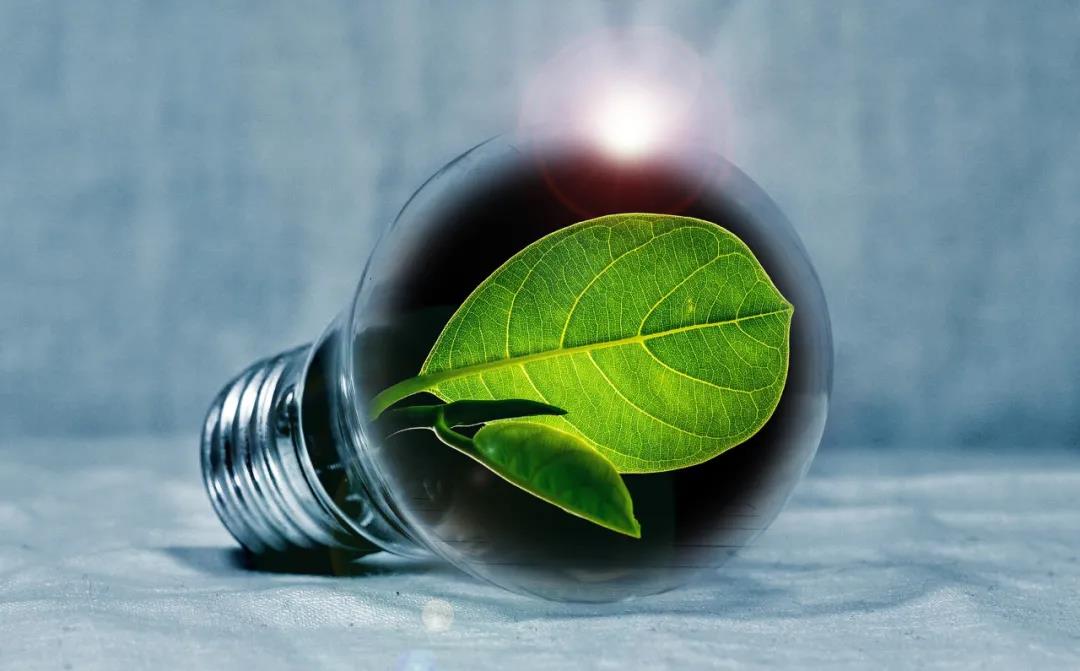 “双碳”目标下 能源行业迎发展契机