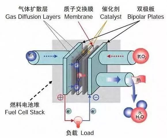 同为氢燃料电池，国内外的态度为何如此不同？