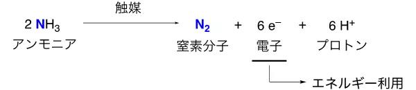 高性能燃料电池催化剂领域取得新突破